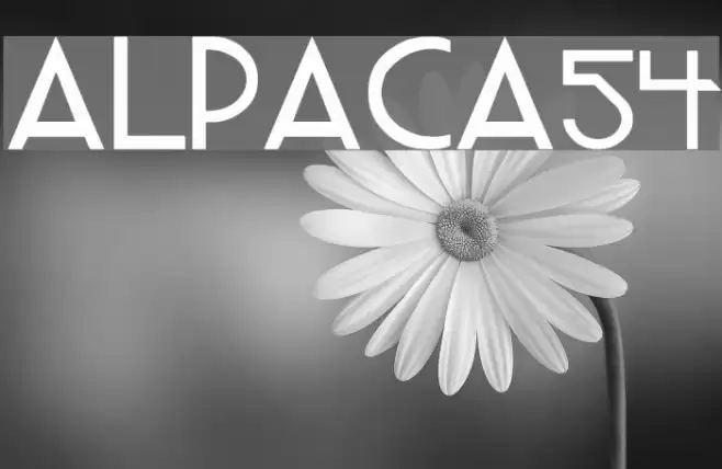 ALPACA54 Font examples