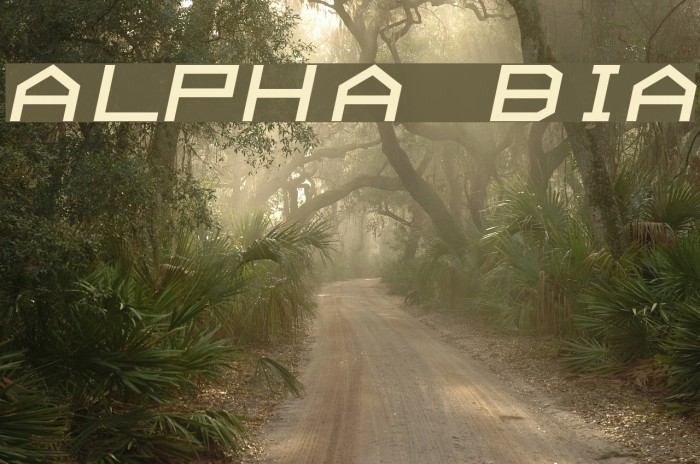 ALPHA BoldItalic Font examples