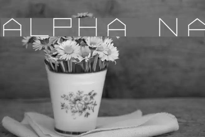 ALPHA Normal フォント examples