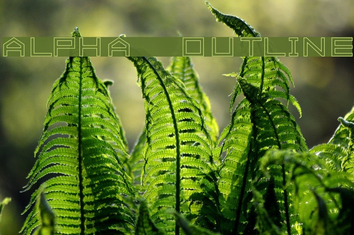 ALPHA OUTLINE フォント examples