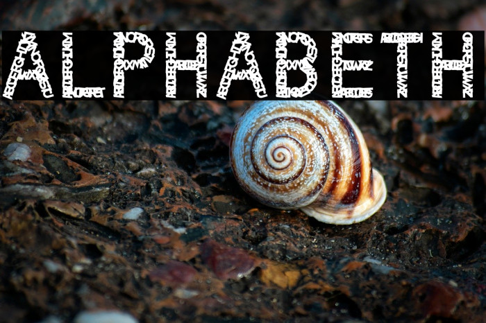 ALPHABETH Example 1