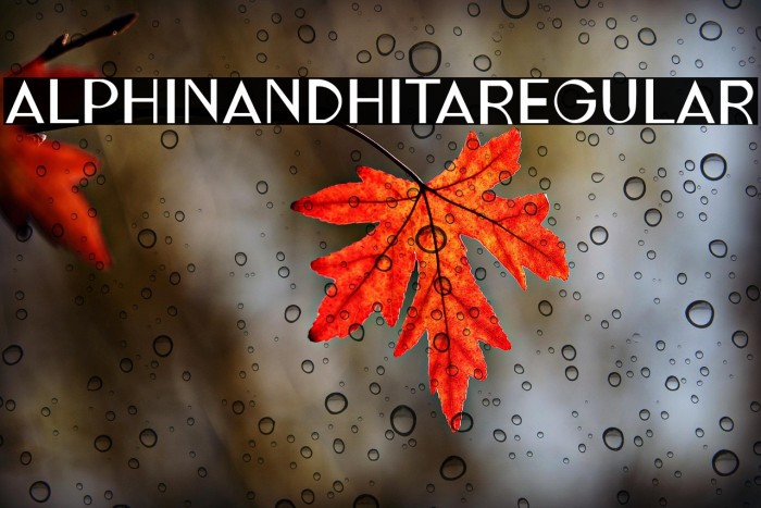 ALPHINANDHITARegular Example 1