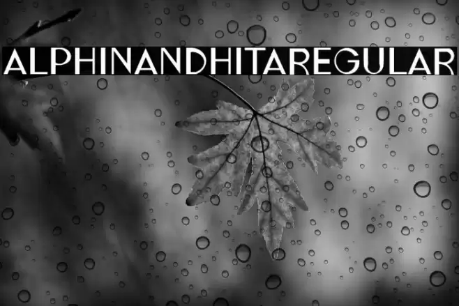 ALPHINANDHITARegular Font examples