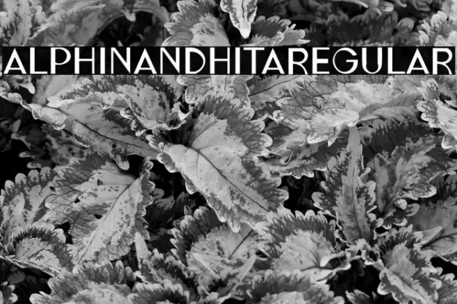 ALPHINANDHITARegular Font examples