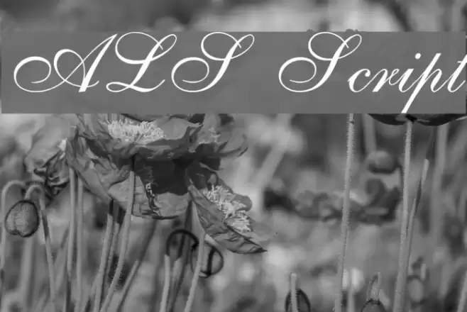 ALS Script Fuentes examples
