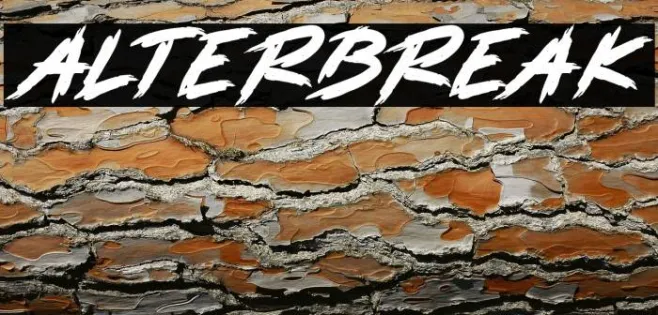 ALTERBREAK Example 1