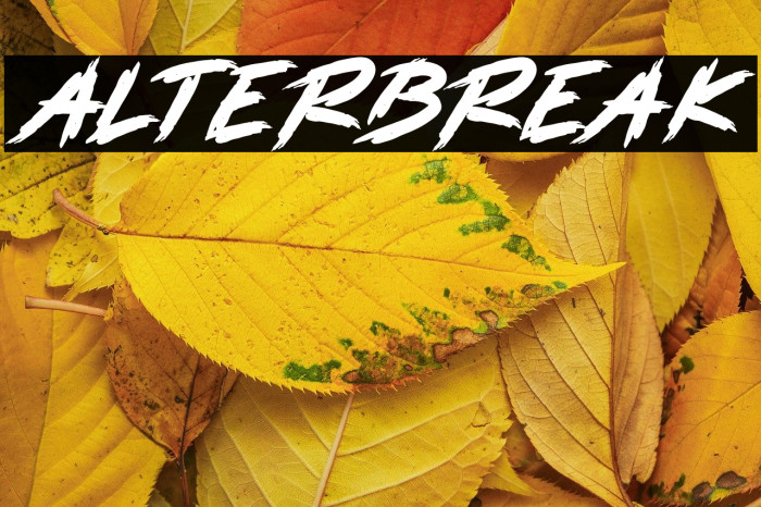 ALTERBREAK Example 2