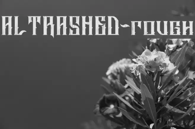 ALTRASHED-rough Font examples