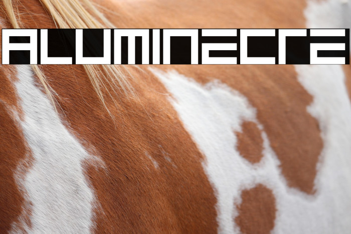 ALUMINECRE Example 1