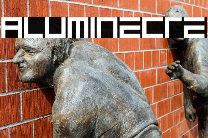 ALUMINECRE Example 3