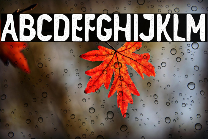 ALVATER Rough Example 2