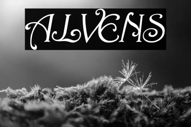 ALVENS Font examples