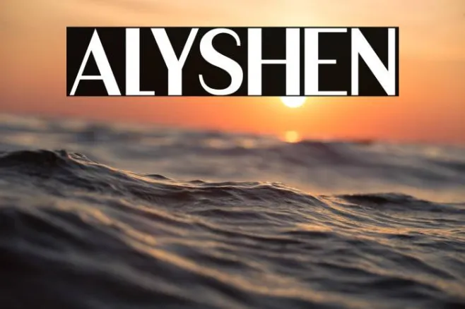 ALYSHEN Example 1