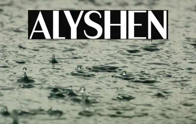 ALYSHEN Example 2