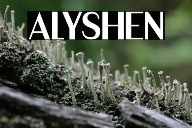 ALYSHEN Example 3
