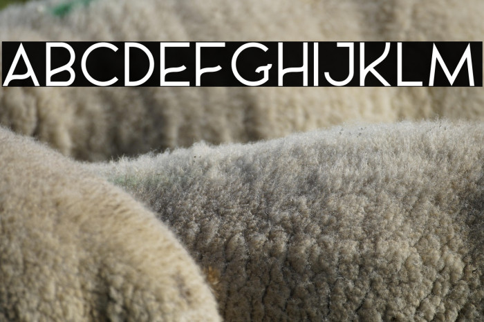 AL_CHEVROLA_PersonalUseOnly Example 3