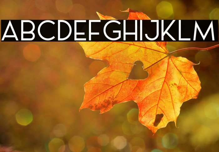 AL_LePORSCHE_PersonalUseOnly Example 1