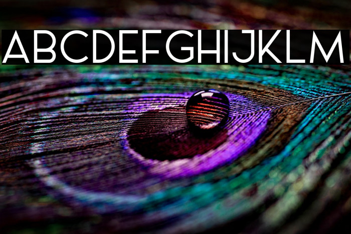 AL_LePORSCHE_PersonalUseOnly Example 2