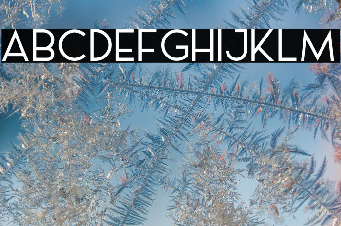 AL_LePORSCHE_PersonalUseOnly Example 3