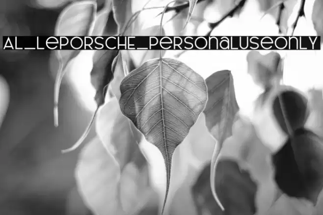 AL_LePORSCHE_PersonalUseOnly Font examples
