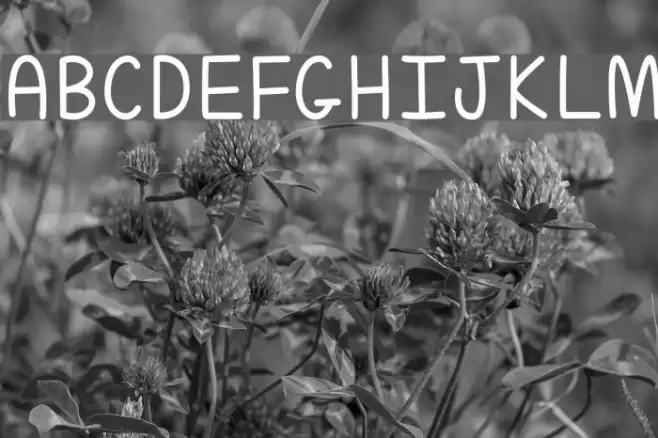 ALittleMixedUp Font examples