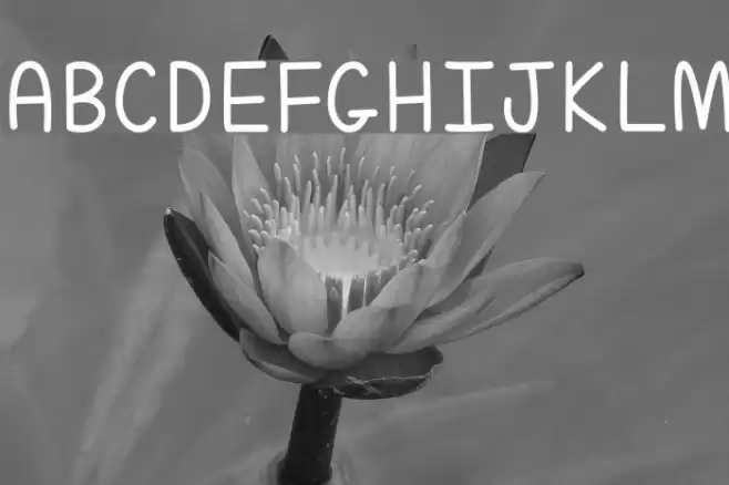 ALittleMixedUp Font examples