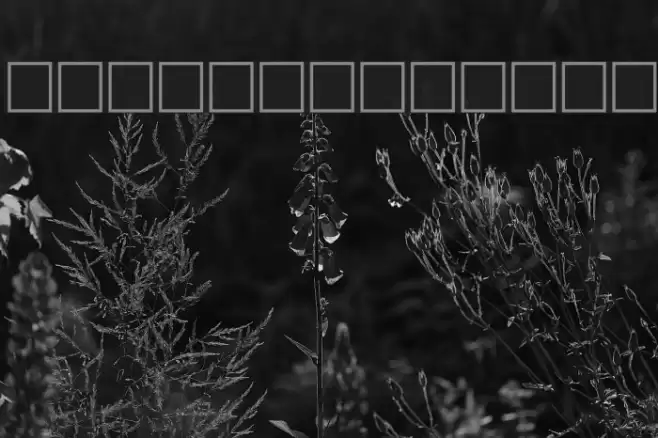 Al Abdali 8 Font examples