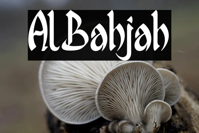 Al Bahjah Example 3