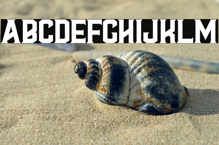 Al Valenciaga PersonalUseOnly Example 1