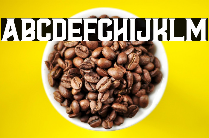 Al Valenciaga PersonalUseOnly Example 2