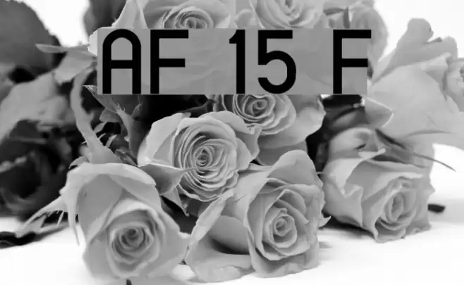 AlFars 15 Farnaz Font examples