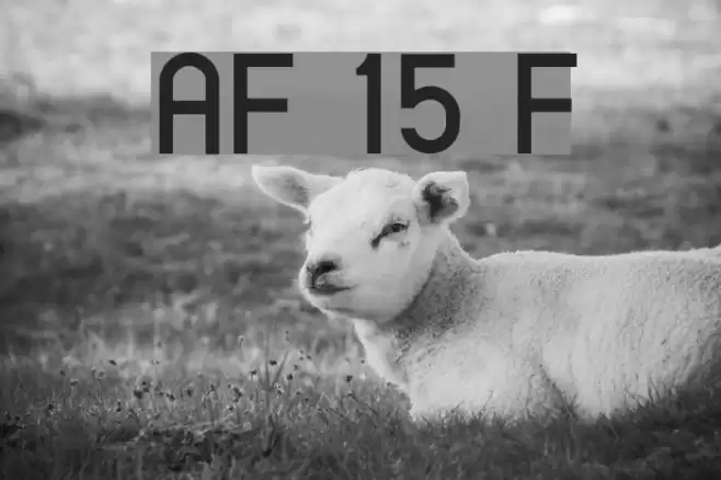AlFars 15 Farnaz Font examples