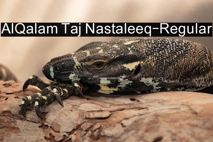 AlQalam Taj Nastaleeq-Regular Example 2