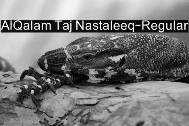 AlQalam Taj Nastaleeq-Regular Font examples