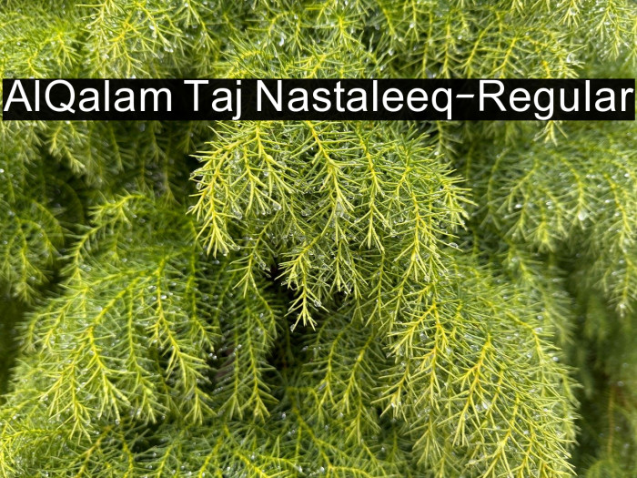 AlQalam Taj Nastaleeq-Regular Example 3