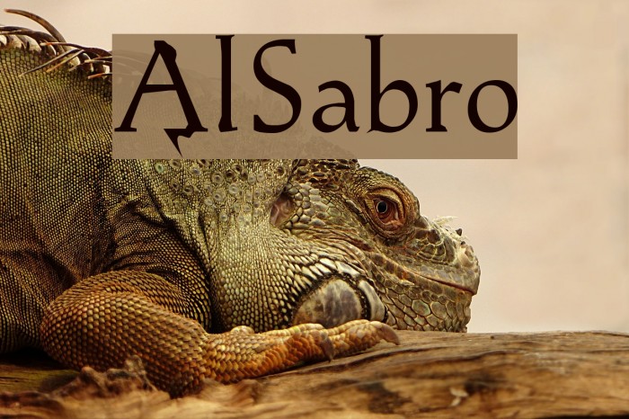 AlSabro Font examples