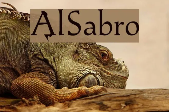 AlSabro Example 2