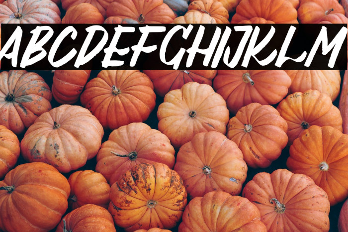 Al_Lebrush_PersonalUseOnly Example 2