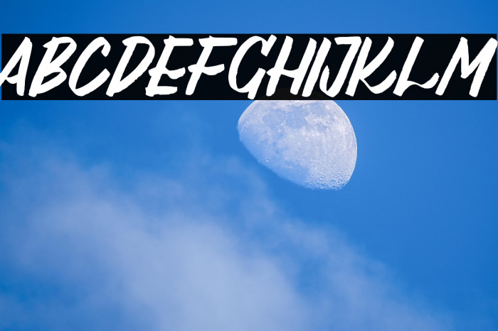 Al_Lebrush_PersonalUseOnly Example 3