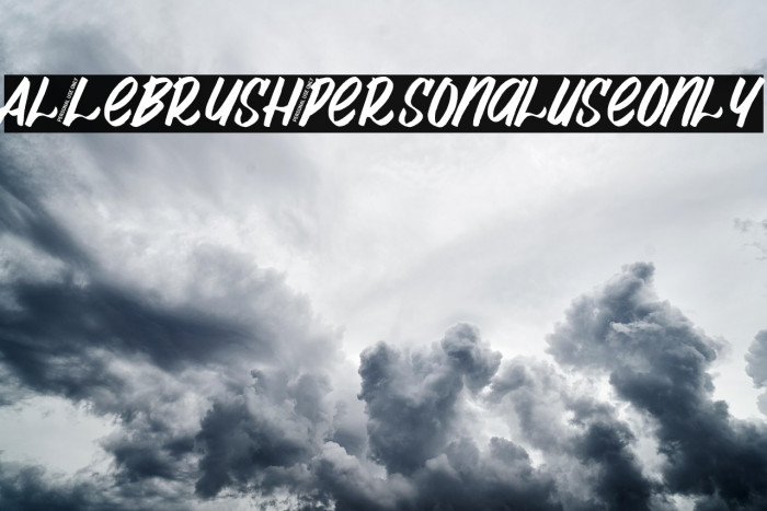 Al_Lebrush_PersonalUseOnly Example 2