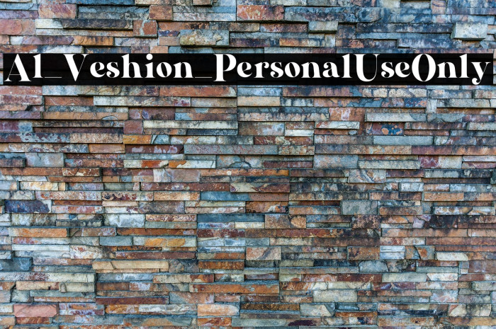 Al_Veshion_PersonalUseOnly Example 2