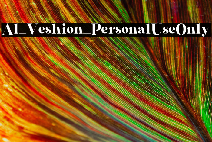 Al_Veshion_PersonalUseOnly Example 3