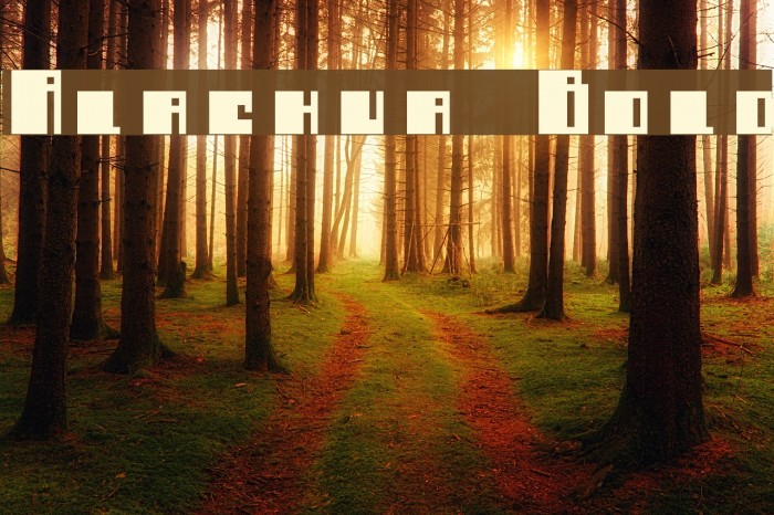 Alachua Bold Font examples