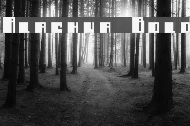 Alachua Bold Font examples