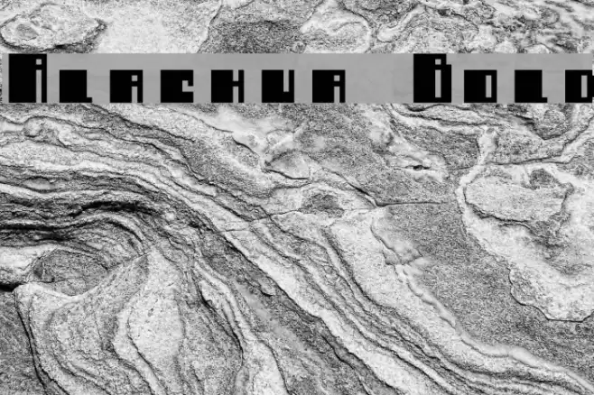 Alachua Bold Font examples