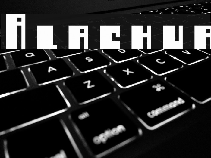 Alachua Font examples