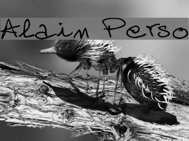 Alain Perso Fonte examples