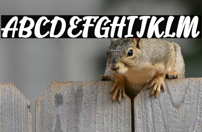 Alakita-Regular Example 1