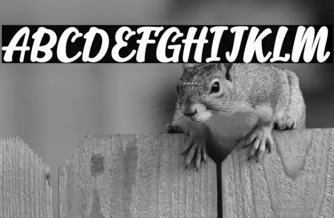 Alakita-Regular Font examples