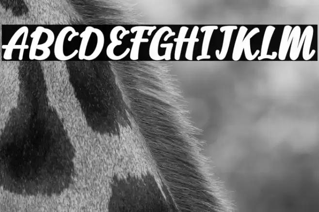 Alakita-Regular Font examples